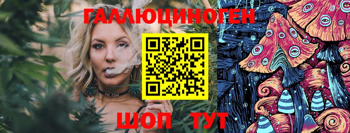 Галлюциногенные грибы Magic Shrooms  Вход с VPN  Галлюциногенные грибы Magic Shrooms  Курганинск 